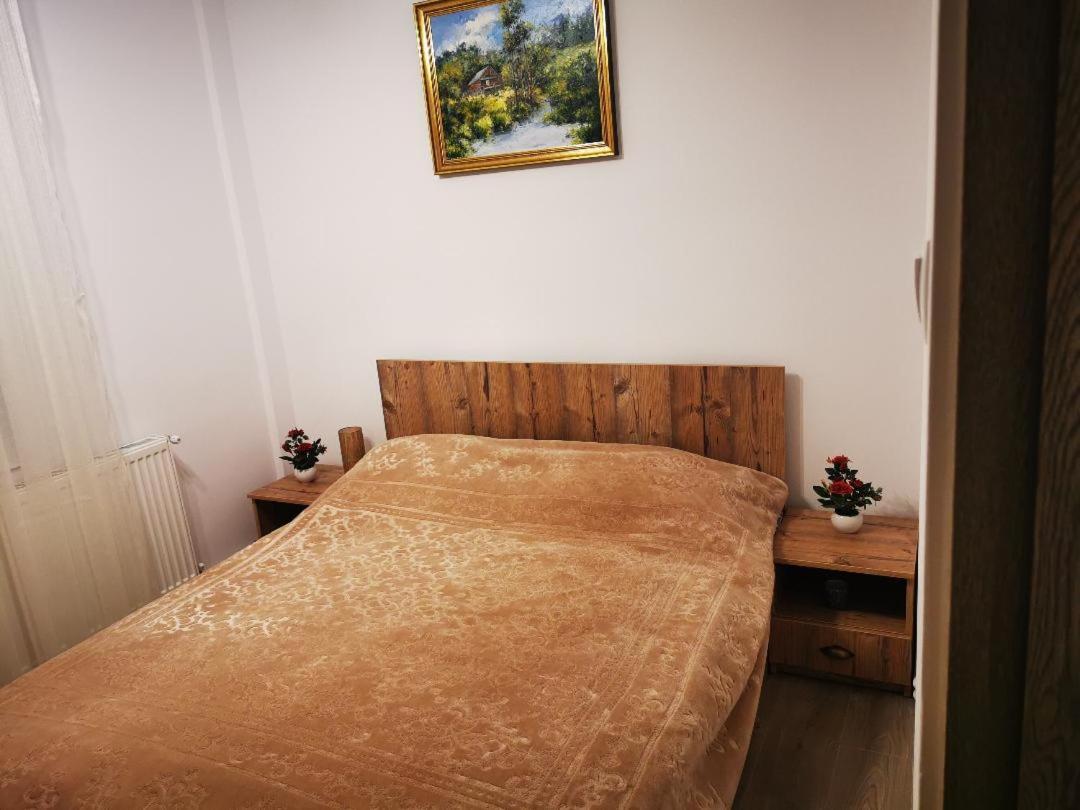 Violet Residence Târgu-Mureş Εξωτερικό φωτογραφία