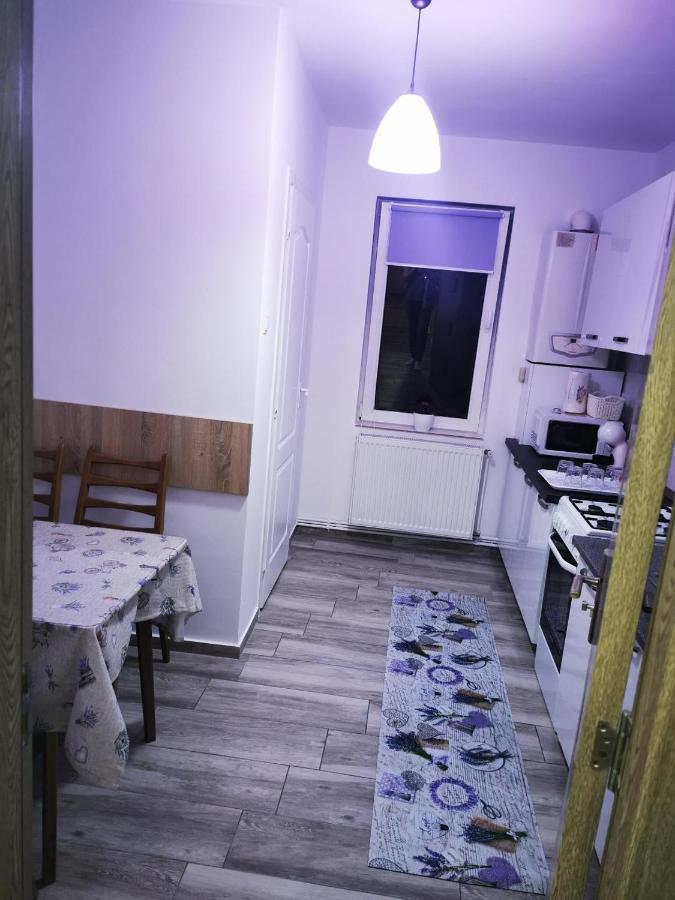 Violet Residence Târgu-Mureş Εξωτερικό φωτογραφία