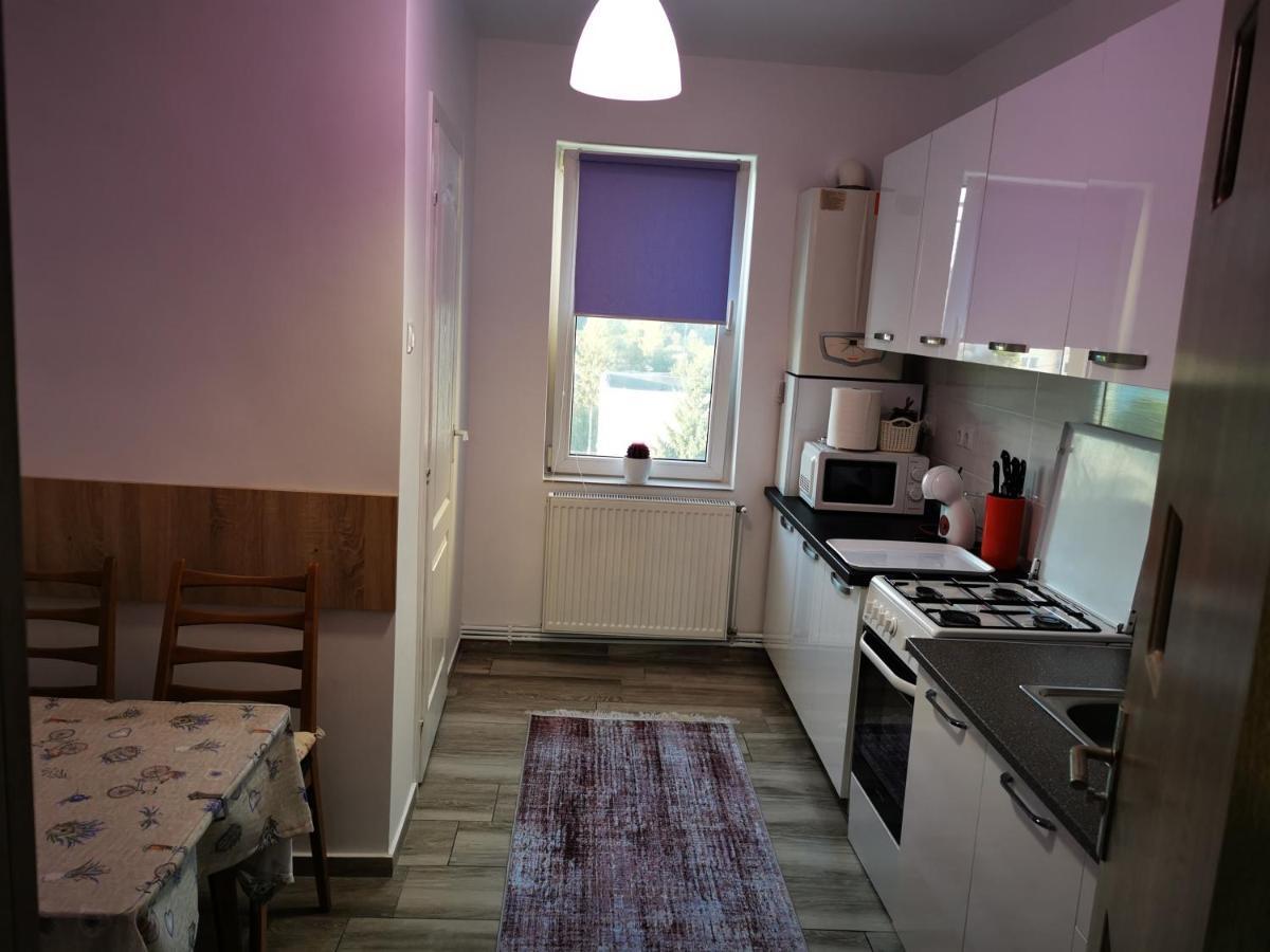 Violet Residence Târgu-Mureş Εξωτερικό φωτογραφία